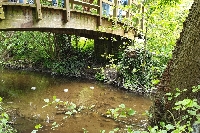 20190507_115054.jpg